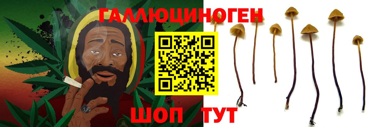Галлюциногенные грибы MAGIC MUSHROOMS Азов